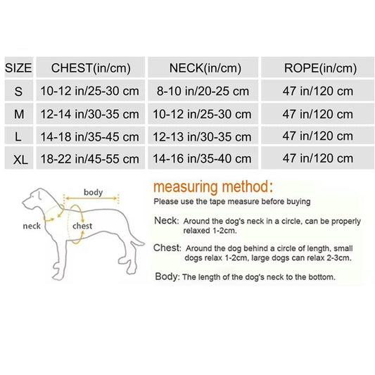Brittany Dog Harness & Leash Set