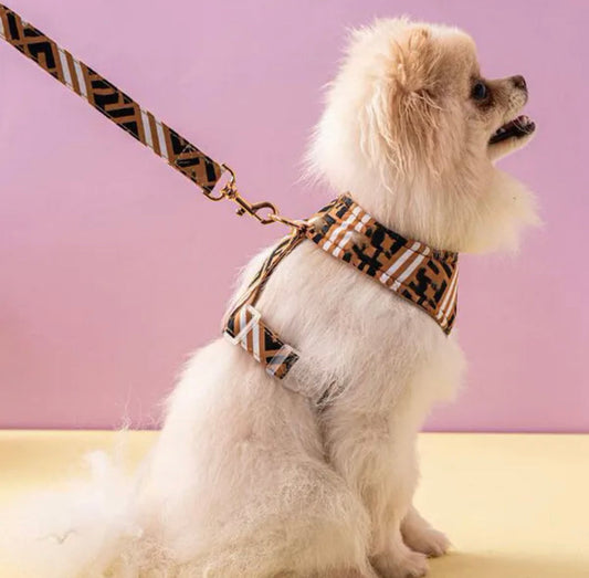 Furendi Dog Harness & Leash Set