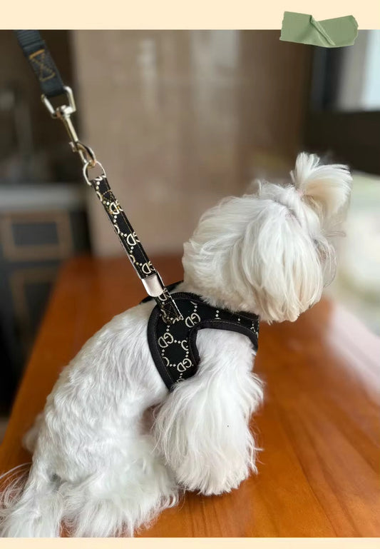 Gigi Dog Harness & Leash Set