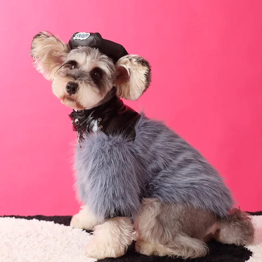 Jupiter Star Dog Jacket