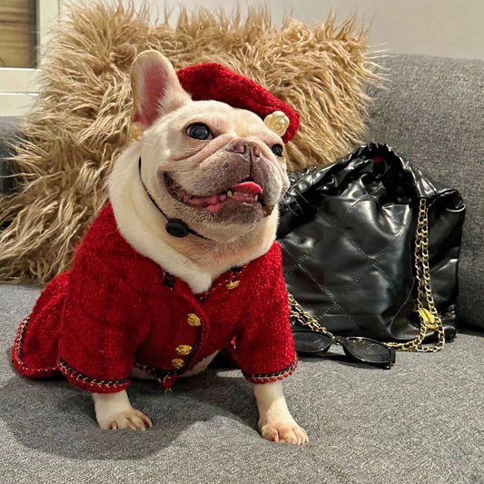 Chewnel Tweed Dog Outfit