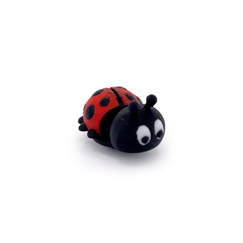 Ladybug