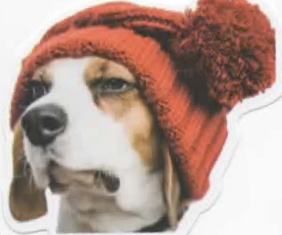 Wacky Dogs