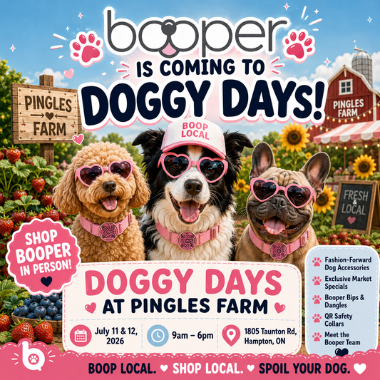 Pingles Doggie Days