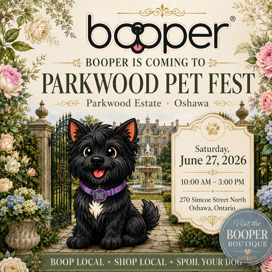 Parkwood Estate Pet Fest