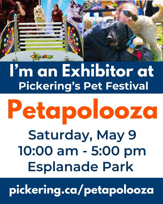Petapolooza
