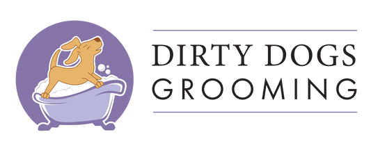 Diorama Launch & Allies