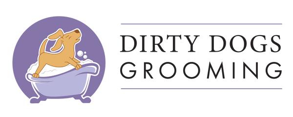 Diorama Launch & Allies