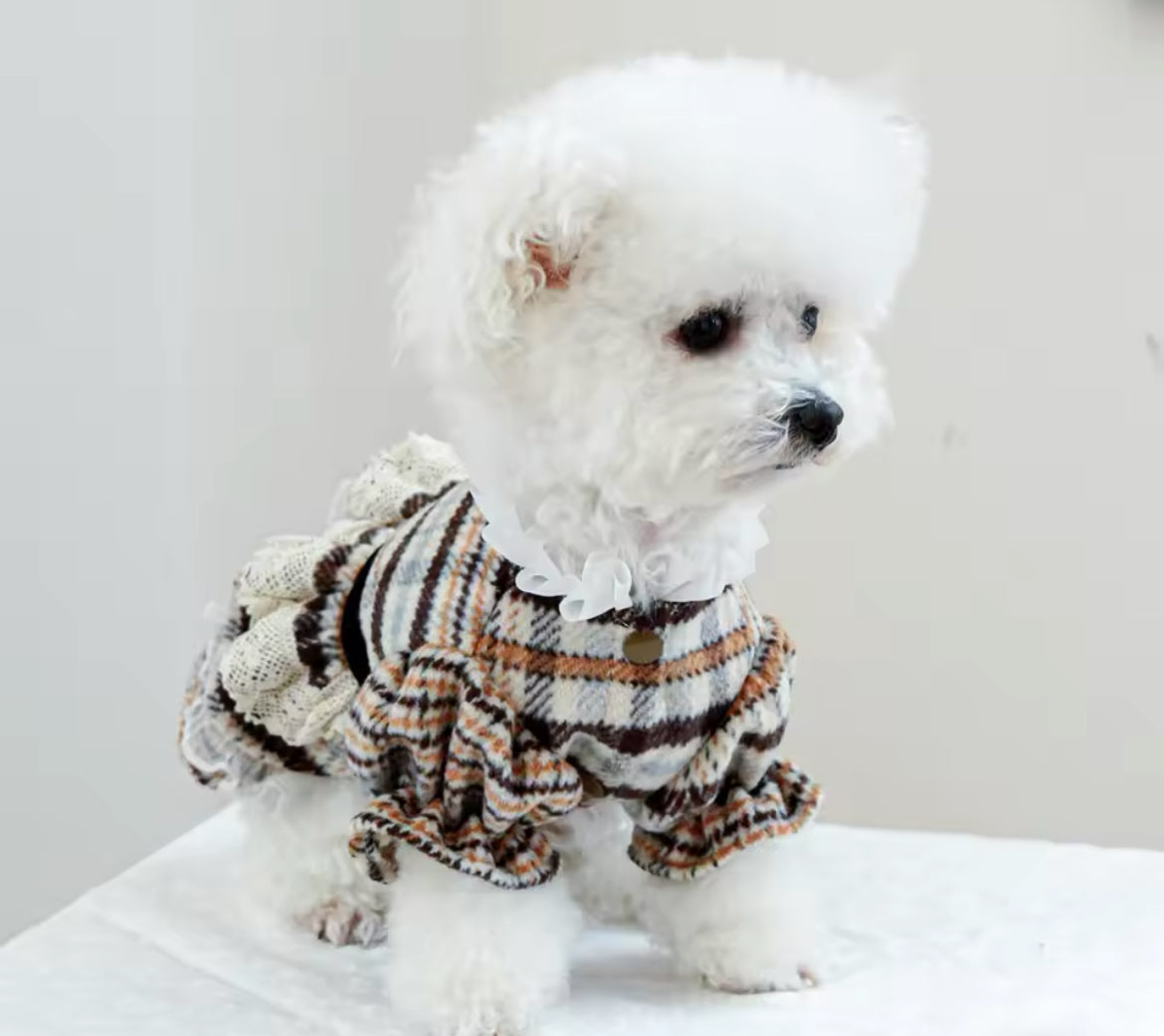 Alexis Dog Dress