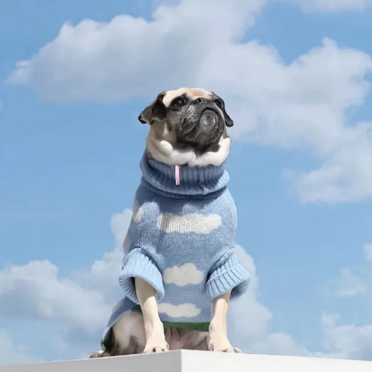 Head in the Clouds Knit Dog Sweater