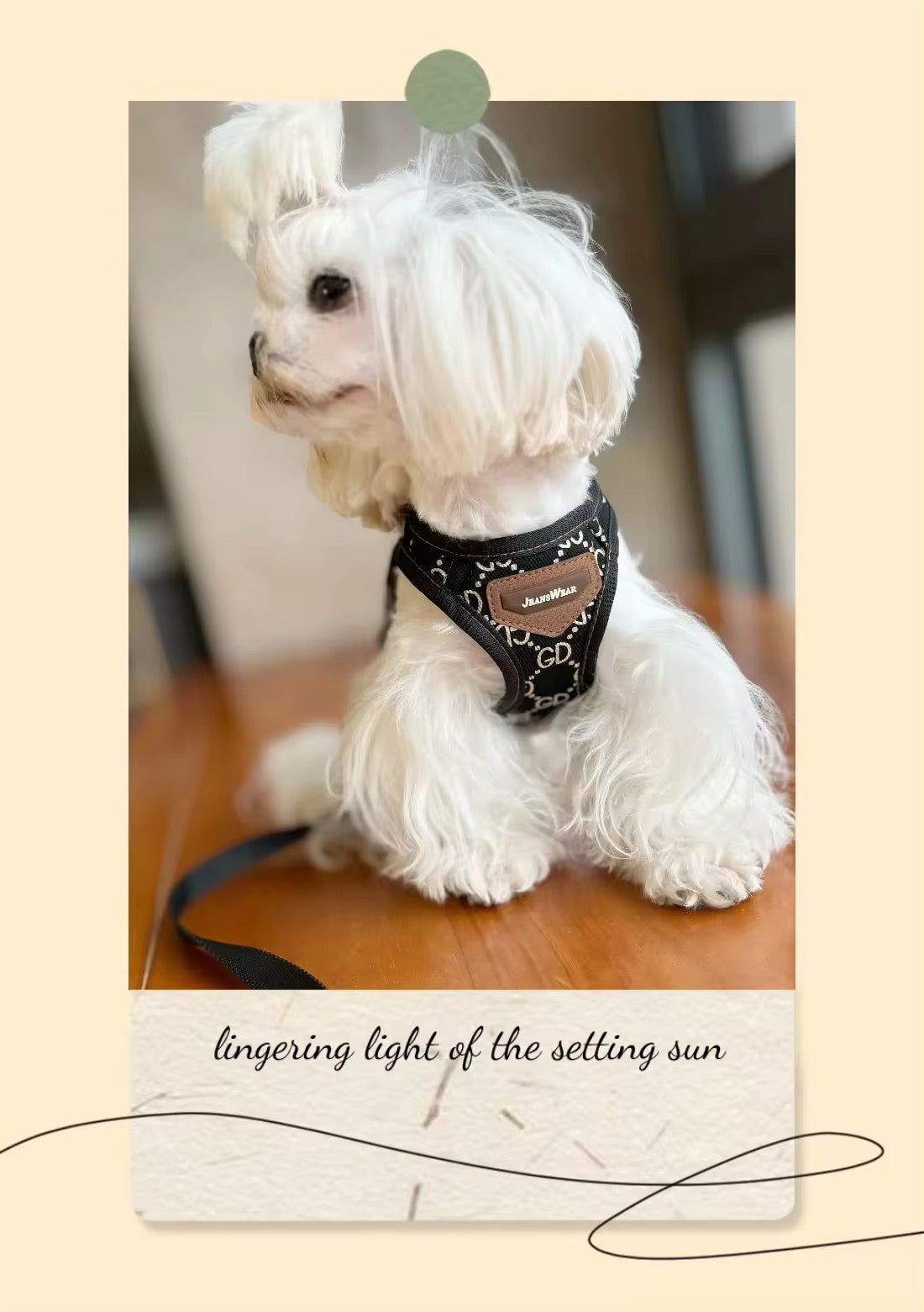 Gigi Dog Harness & Leash Set