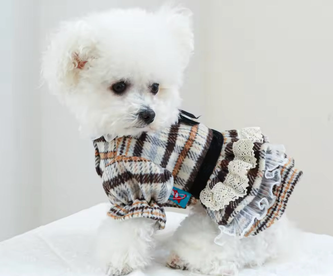 Alexis Dog Dress