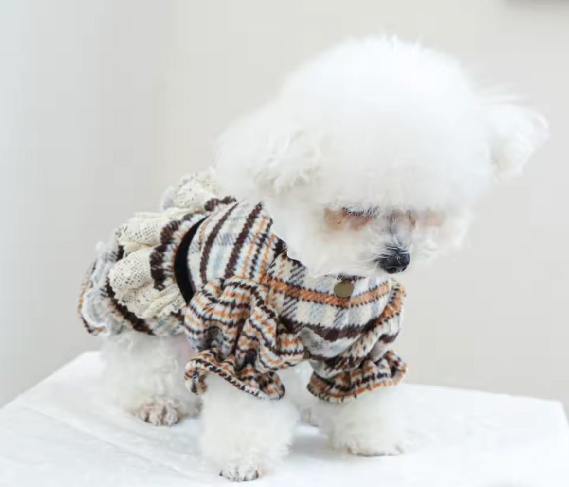 Alexis Dog Dress