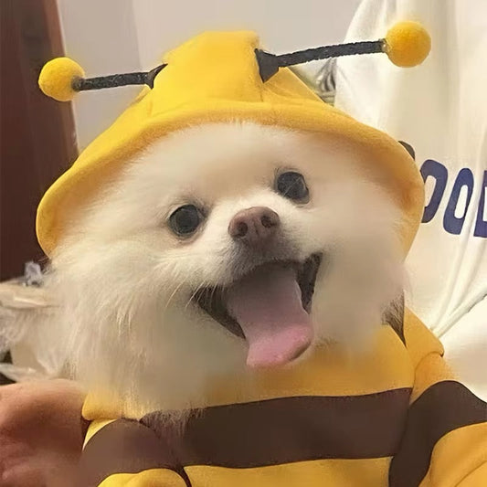 Bumble Bee Costume