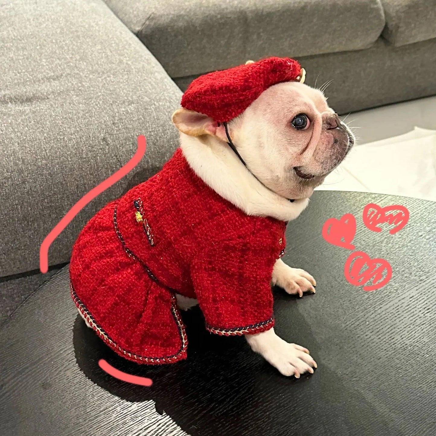 Chewnel Tweed Dog Outfit
