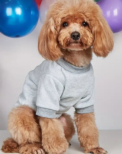 Shark Bait Dog Shirt