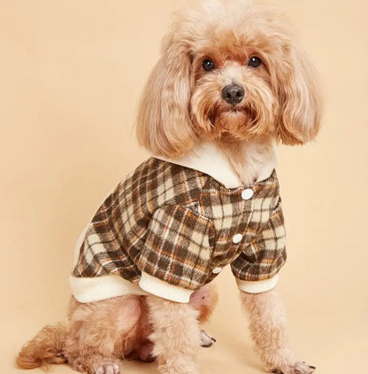 Landon Hooded Dog Sweater