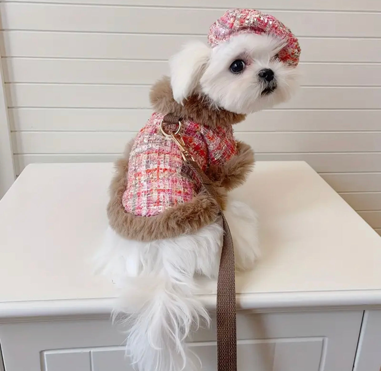 Eliana Harness & Leash & Hat - Fashion Walking Set