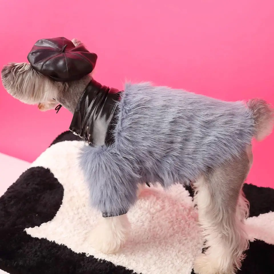 Jupiter Star Dog Jacket