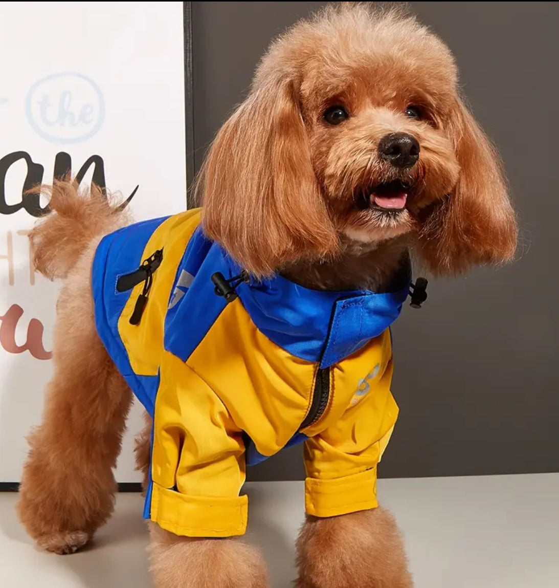 Tyson Dog Jacket
