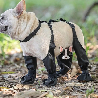 Belted Dog Boots