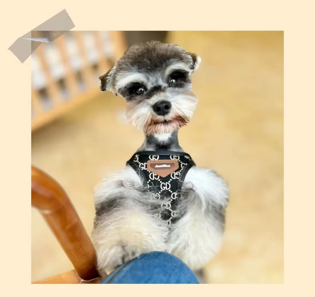 Gigi Dog Harness & Leash Set