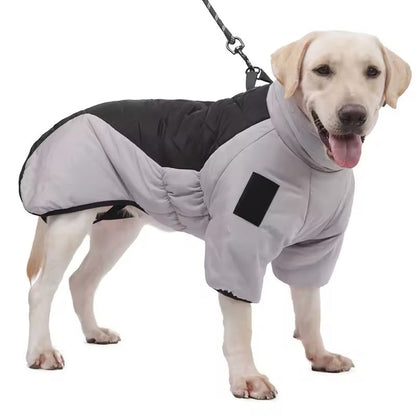 Big Dog Winter Jacket