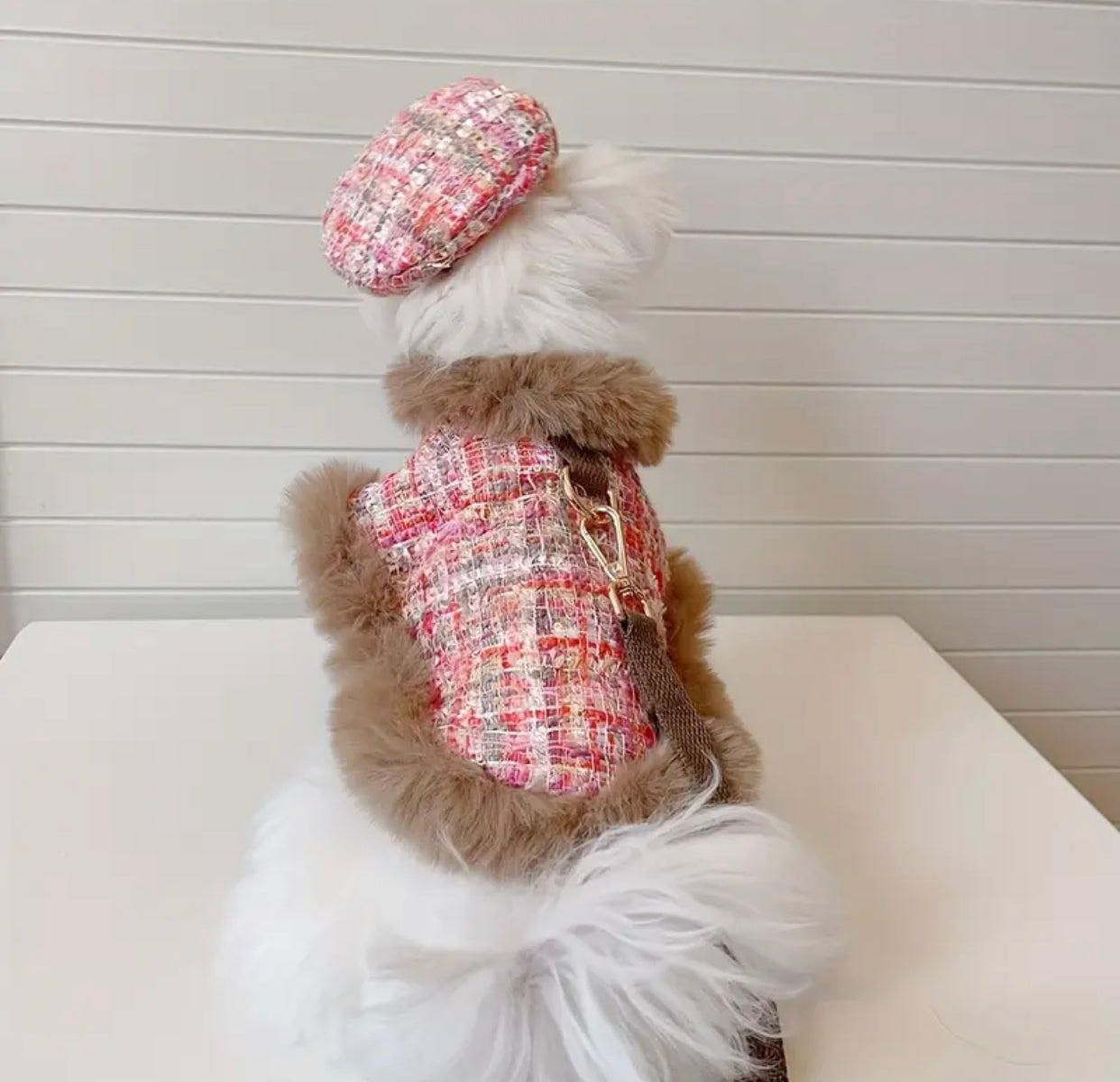 Eliana Harness & Leash & Hat - Fashion Walking Set