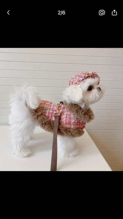 Eliana Harness & Leash & Hat - Fashion Walking Set