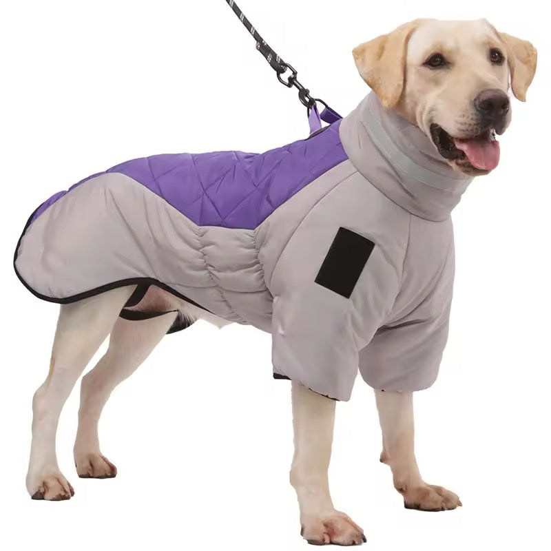 Big Dog Winter Jacket