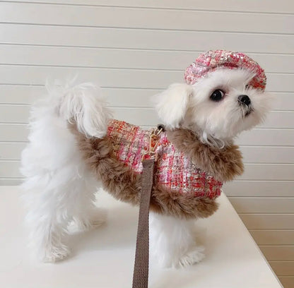 Eliana Harness & Leash & Hat - Fashion Walking Set