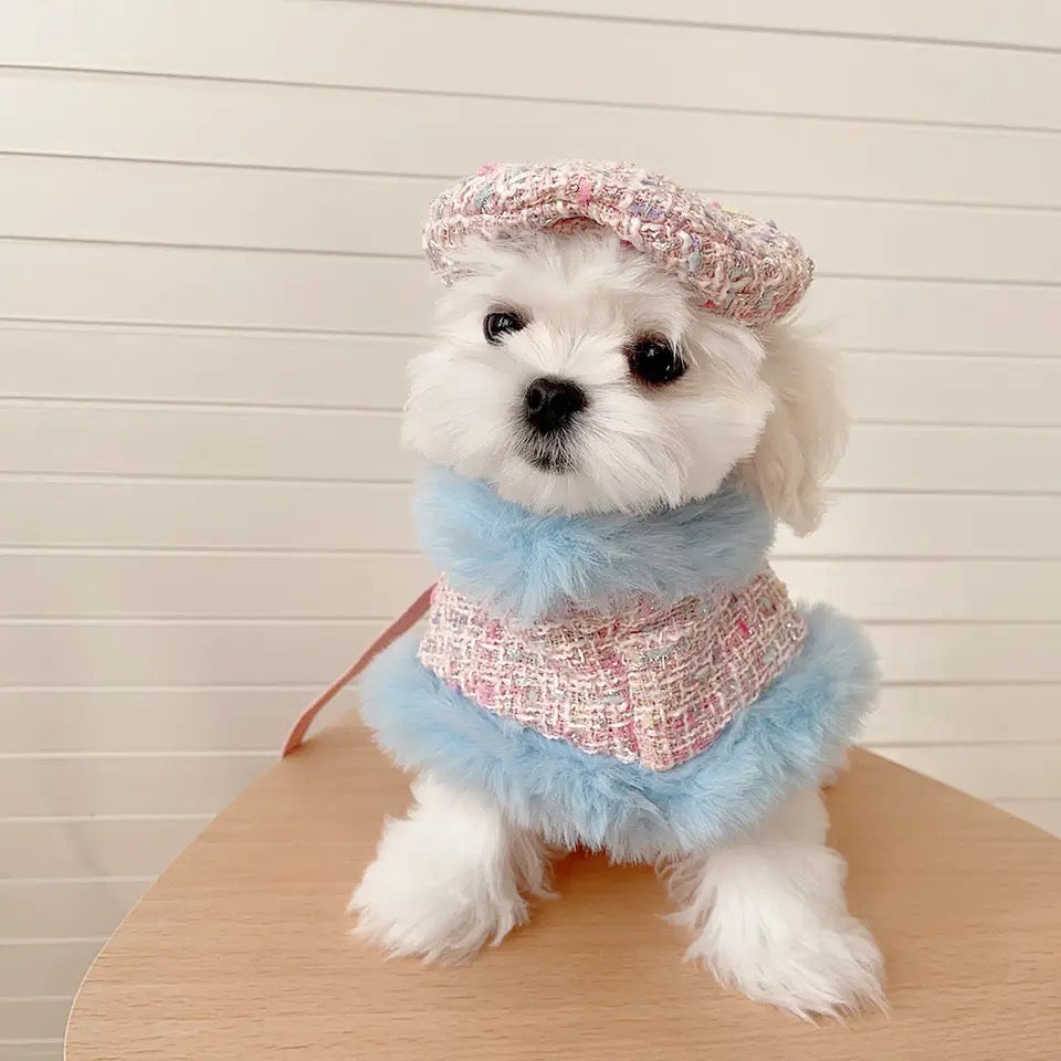 Bubble Gum Harness & Leash & Hat Fashion Walking Set