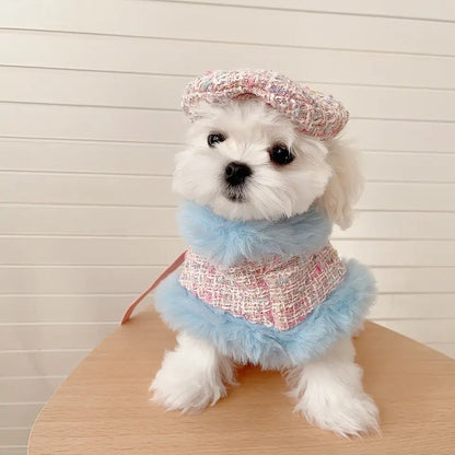 Bubble Gum Harness & Leash & Hat Fashion Walking Set