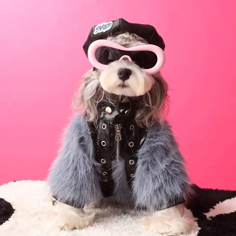Jupiter Star Dog Jacket