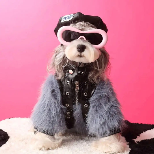Jupiter Star Dog Jacket