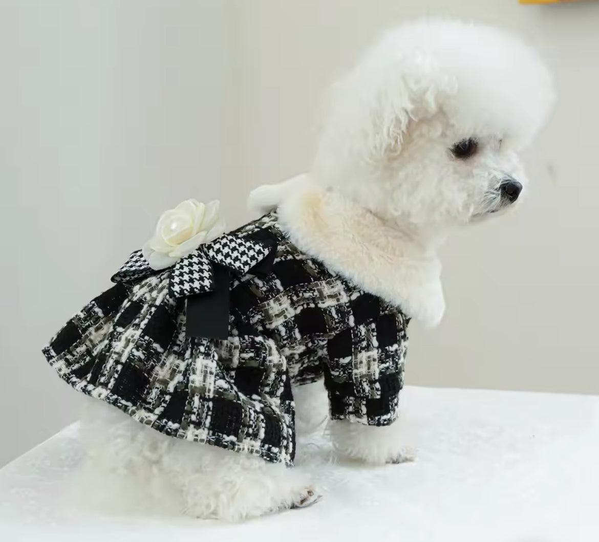 Coco Chewnel Dog Dress