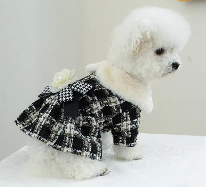 Coco Chewnel Dog Dress