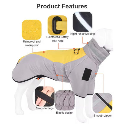 Big Dog Winter Jacket