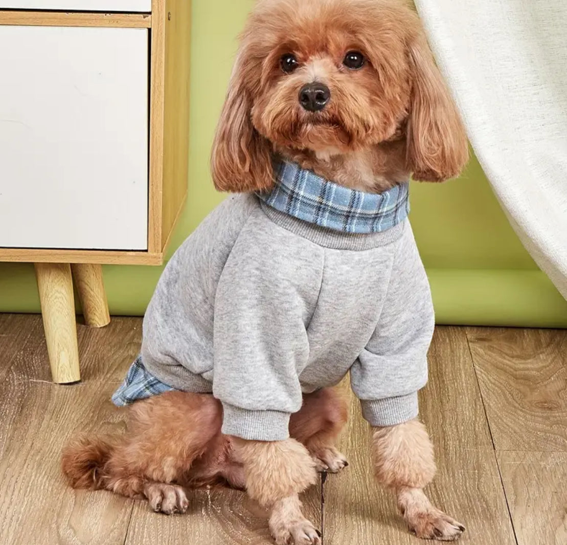 Adam Dog Sweater
