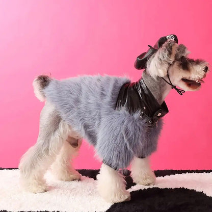 Jupiter Star Dog Jacket