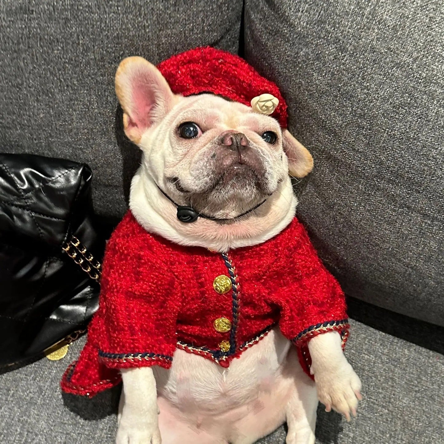 Chewnel Tweed Dog Outfit