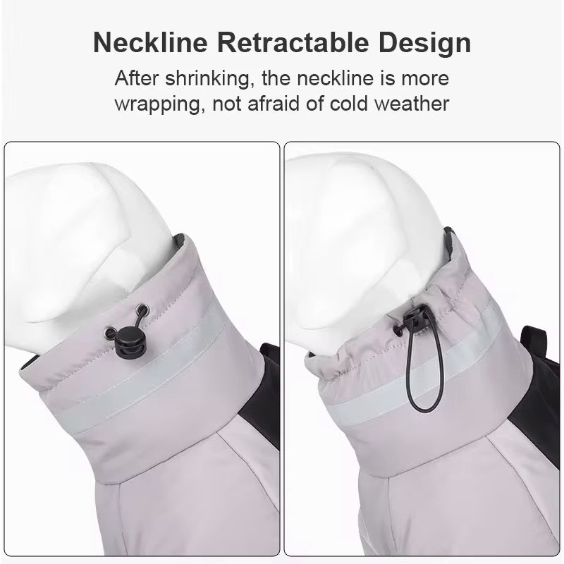 Big Dog Winter Jacket