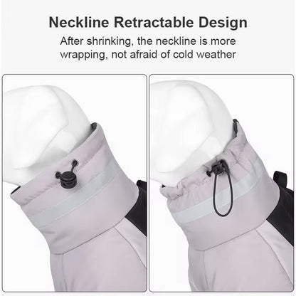 Big Dog Winter Jacket