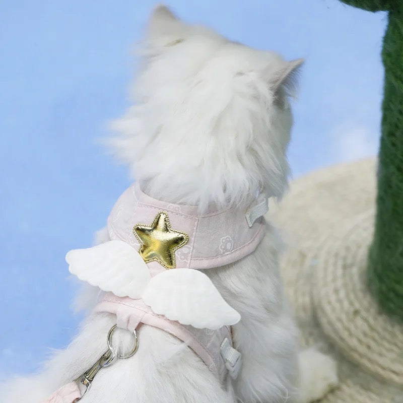 Starshine Harness & Leash Set