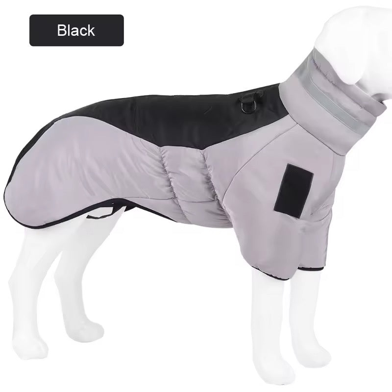 Big Dog Winter Jacket