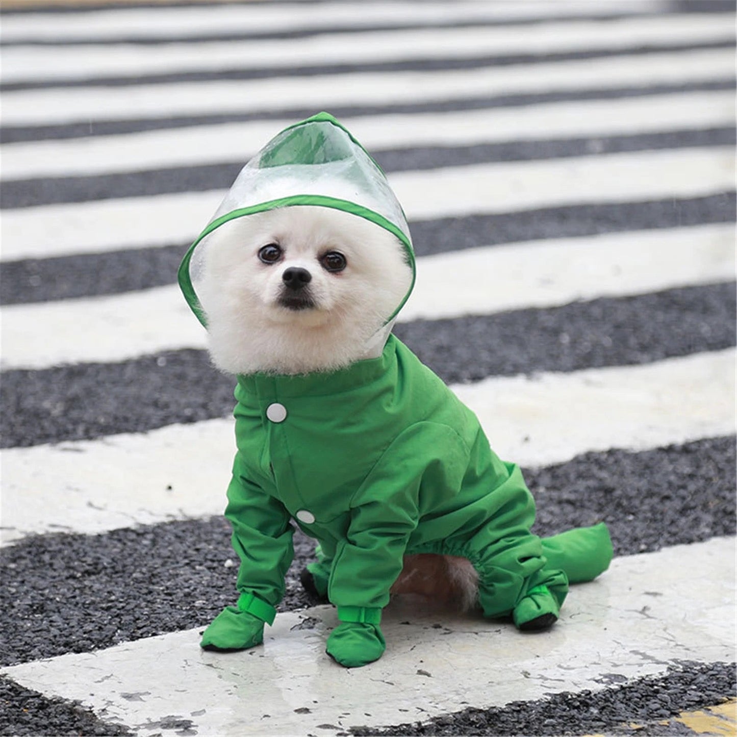 Visor Full Body Raincoat
