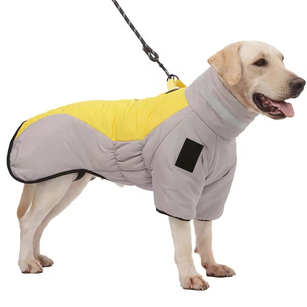 Big Dog Winter Jacket