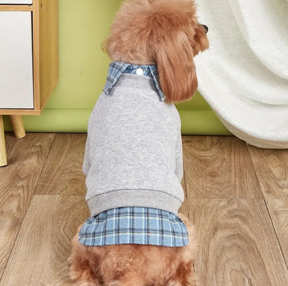 Adam Dog Sweater