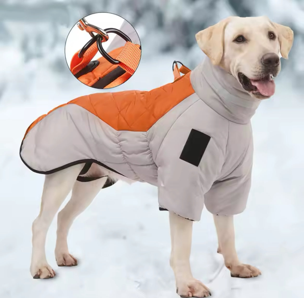 Big Dog Winter Jacket