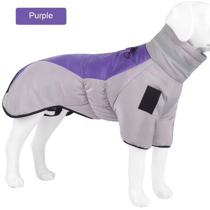 Big Dog Winter Jacket